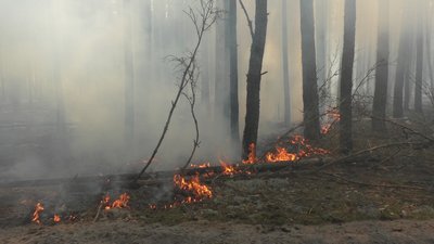 Рятувальники Кіровоградщини гасять пожежу в Житомирській області