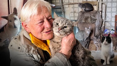 Прихистила 17 котів та п'ять собак пенсіонерка з Чернігова