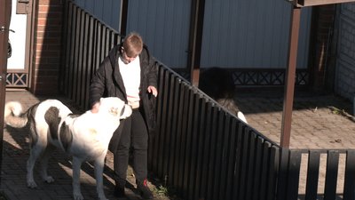 "Не виїхала, аби не кидати собак". Сумські волонтери евакуювали з Харківщини жінку та її тварин "Не виїхала, аби не кидати собак". Сумські волонтери евакуювали з Харківщини жінку та її тварин