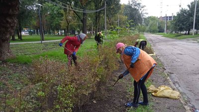 У кропивницькому парку висадять півтори тисячі кущів спіреї