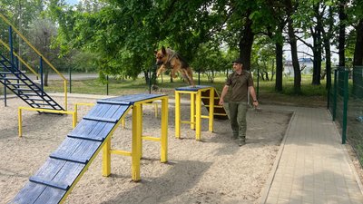 "За віддану службу": службову вівчарку Джека з Кривого Рогу нагородили медаллю перед виходом на пенсію "За віддану службу": службову вівчарку Джека з Кривого Рогу нагородили медаллю перед виходом на пенсію