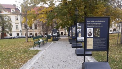 День народження Вікентія Хвойки День народження Вікентія Хвойки