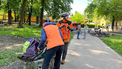 Виявляє хвороби дерев: в Ужгородському парку "Під замком" арборист обрізав сухі гілки дерев Виявляє хвороби дерев: в Ужгородському парку "Під замком" арборист обрізав сухі гілки дерев