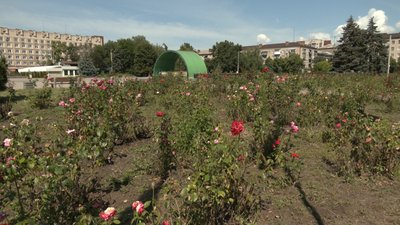 Косять траву, обрізають дерева та усувають наслідки обстрілів. Як комунальники Донеччини працюють у військових умовах Косять траву, обрізають дерева та усувають наслідки обстрілів. Як комунальники Донеччини працюють у військових умовах