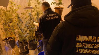 На Закарпатті заблокували мережу збуту наркотиків та психотропів