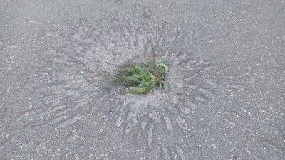 касетний боєприпас