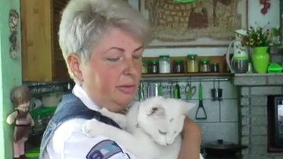 П’ятдесят собак та котів живуть у притулку на Миколаївщині П’ятдесят собак та котів живуть у притулку на Миколаївщині
