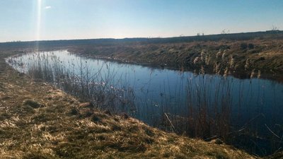 У волинську річку потрапили трансформаторні мастила. Чи критичне забруднення У волинську річку потрапили трансформаторні мастила. Чи критичне забруднення