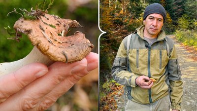 Костянтин Стратій, грибник із села Лопушна Чернівецької області