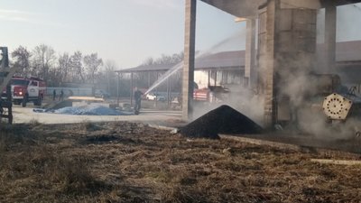 Згоріла тонна насіння соняшника: на Закарпатті сталася пожежа в зерносушарці