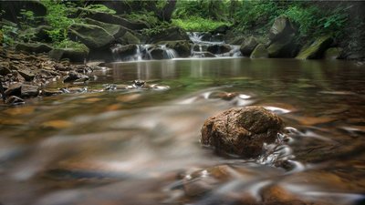 "Це мої діти, і всіх люблю". Прикарпатський фотомитець розповів про те, як прийшов до фотографії "Це мої діти, і всіх люблю". Прикарпатський фотомитець розповів про те, як прийшов до фотографії