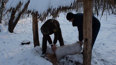 На Донеччині у заповіднику підгодовують диких тварин