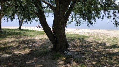 На Одещині шукають підлітка, який пішов плавати й не повернувся На Одещині шукають підлітка, який пішов плавати й не повернувся