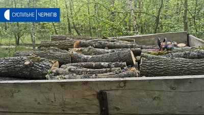 На Борзнянщині затримали нелегальних лісорубів, які перевозили деревину на саморобних тракторах