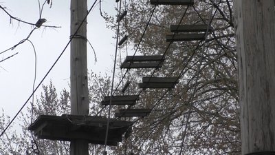 У Запоріжжі відбудуться позапланові перевірки зон відпочинку У Запоріжжі відбудуться позапланові перевірки зон відпочинку