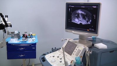 Приватні медзаклади Житомирщини не закриватимуть