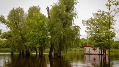 На Чернігівщині знижується рівень води у річці Десна