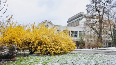 сніг, погода, заморозки, Меморіальний сквер, Франківський драмтеатр, прогноз
