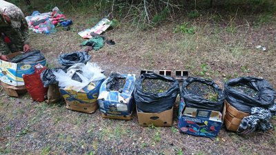 Зі зони ЧАЕС намагались вивезти понад 300 кілограмів радіаційних ягід і грибів