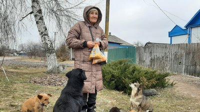 село норцівка. 9 місяців без світла: як живе село під Балаклією село норцівка. 9 місяців без світла: як живе село під Балаклією