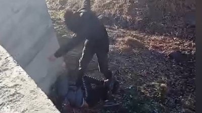 Бійка у селі Нуйно Камінь-Каширського району