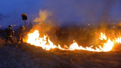 Пожежі Волинь, ДСНС, горить суха трава