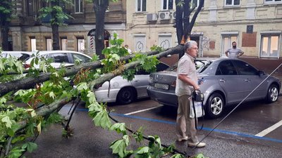 Щонайменше 3 дерева у Дніпрі впали на автомобілі Щонайменше 3 дерева у Дніпрі впали на автомобілі