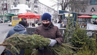 У Херсоні відкриваються ялинкові базари. Де можна купити й скільки коштує новорічне дерево У Херсоні відкриваються ялинкові базари. Де можна купити й скільки коштує новорічне дерево
