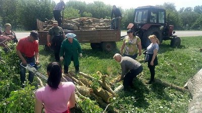 Заготовляють дрова на зиму: у школі на Вінниччині розчистили територію від тополь Заготовляють дрова на зиму: у школі на Вінниччині розчистили територію від тополь