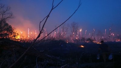 Пожежі у Розумівці Запорізького району