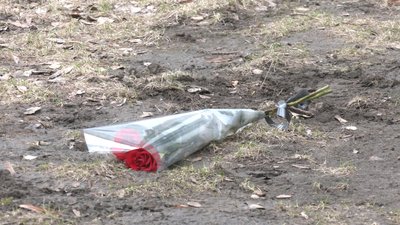 У Запоріжжі загинула 6-річна дитина, випавши з вікна 9-го поверху. Версія поліції - нещасний випадок