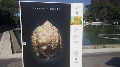 Виставка Одеса Виставка Одеса