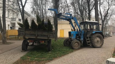 У Полтаві на висадку дерев спрямували пів мільйона гривень з бюджету громади У Полтаві на висадку дерев спрямували пів мільйона гривень з бюджету громади