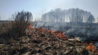 На Франківщині за одну добу зафіксували 84 пожежі сухої трави