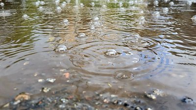 Бульбашки від дощу