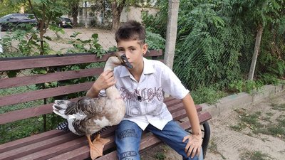 2024 рік у кадрі: знакові моменти на Миколаївщині — фотодобірка