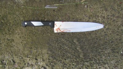 У Чернігові затримали чоловіка, який погрожував матері ножем У Чернігові затримали чоловіка, який погрожував матері ножем