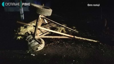 На Рівненщині бус в'їхав у підводу: двоє трамованих На Рівненщині бус в'їхав у підводу: двоє трамованих