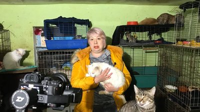 У Кременчуці проживають тварини-переселенці: скільки їх та як за ними доглядають У Кременчуці проживають тварини-переселенці: скільки їх та як за ними доглядають