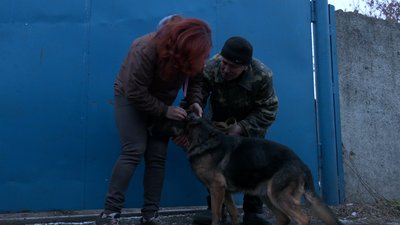 Черкаські волонтери врятували собак із Херсона Черкаські волонтери врятували собак із Херсона