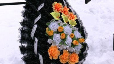 У центрі Коломиї на Франківщині зрубали дві блакитні ялинки: як відреагували містяни