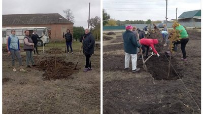 З алеєю на честь захисників. У селі Шевченкове на Кіровоградщині місцеві жителі висадили парк З алеєю на честь захисників. У селі Шевченкове на Кіровоградщині місцеві жителі висадили парк