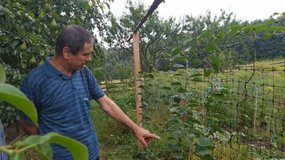 Фото: Суспільне Поділля Фото: Суспільне Поділля