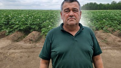 переселенці, релокований бізнес, фермерство, картопля, зрошення
