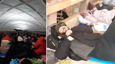 Одразу зрозуміли, що стане членом родини.Переселенці з Харкова привезли з собою у Кропивницький безпритульного пса Одразу зрозуміли, що стане членом родини.Переселенці з Харкова привезли з собою у Кропивницький безпритульного пса