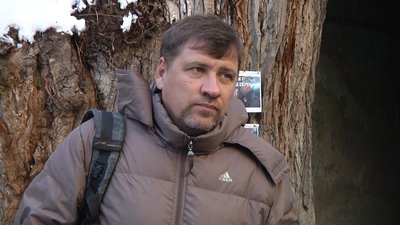 "Найтовщу тополю України" в центрі Одеси готуються спилювати – екоактивіст "Найтовщу тополю України" в центрі Одеси готуються спилювати – екоактивіст