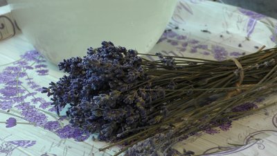 Від саджанця – до лавандового поля: правила посадки від черкаської фахівчині Від саджанця – до лавандового поля: правила посадки від черкаської фахівчині