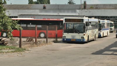 Приватні перевізники скаржаться на нестачу робітників - водіїв та спеціалістів, які можуть обслуговувати автобуси, особливо великогабаритні. Фото: Суспільне.