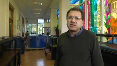 "Житомирводоканал" має провести зариблення річки Тетерів після скидів у водойму неочищених стоків "Житомирводоканал" має провести зариблення річки Тетерів після скидів у водойму неочищених стоків