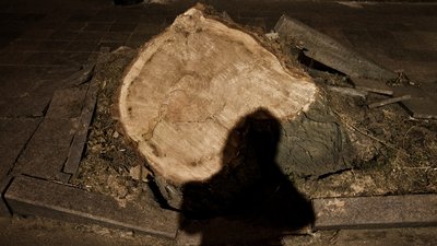 Сучасна фотографія
